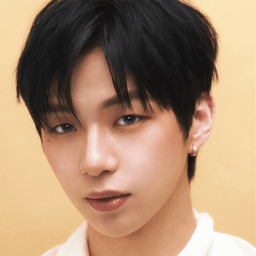 MUSE LIKE - Kitty Gray Pop (10P)