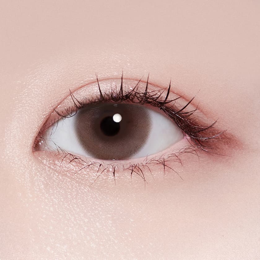 라이트 데이어리 초코 (1P+1P)