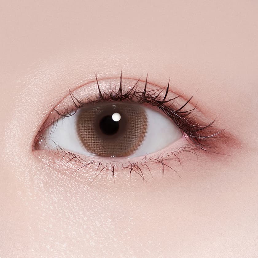 라이트 미로바 브라운 (1P+1P)