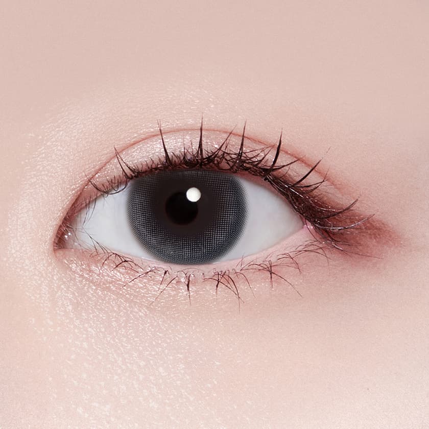 라이트 우쥬 그레이 (1P+1P)